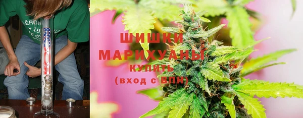 шишки Грязи