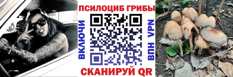 Галлюциногенные грибы MAGIC MUSHROOMS  гидра ССЫЛКА  Камбарка 